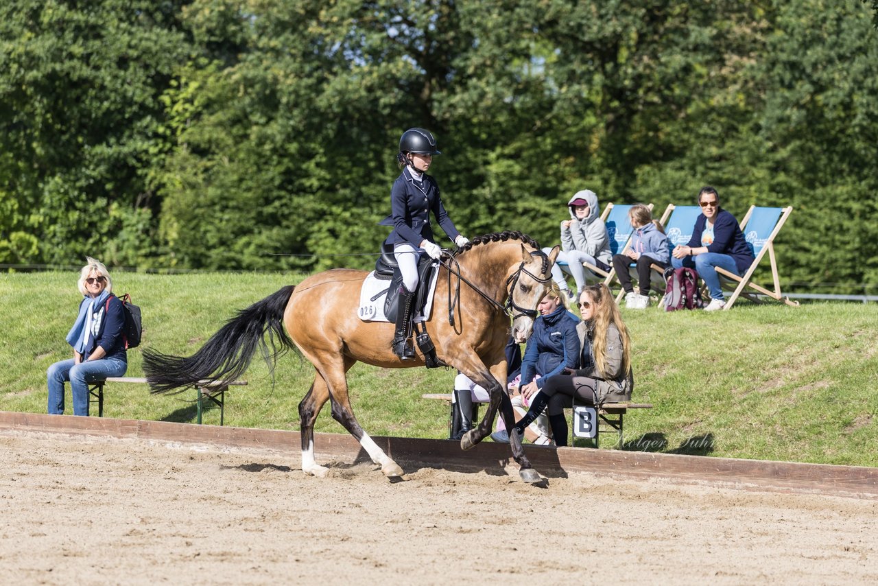 Bild 527 - Pony Akademie Turnier